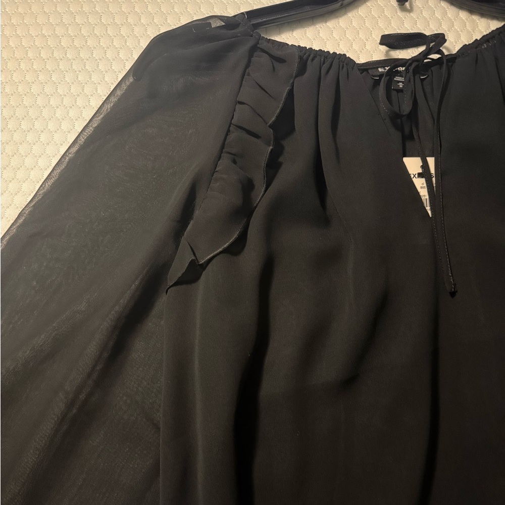Express Black Sheer Blouse